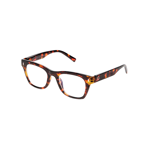 Halden_habana_NVReading-2