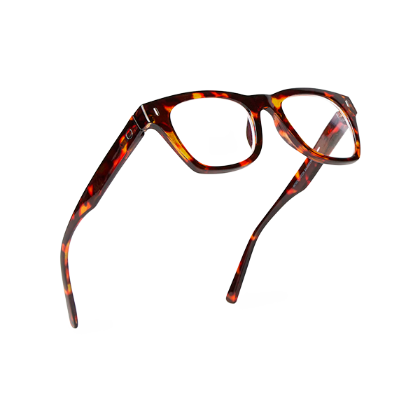 Halden_habana_NVReading-4